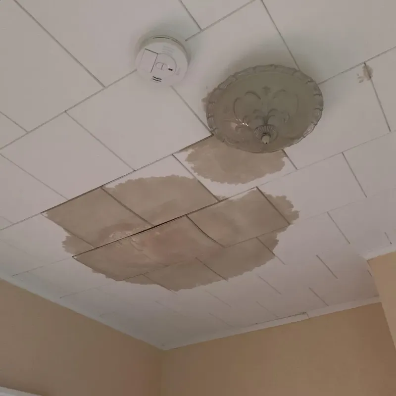 Ceiling Water Damage Repair in Mountainhome, PA