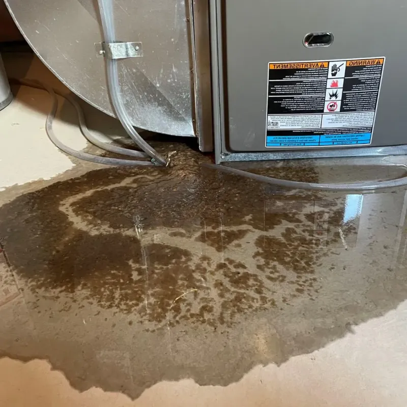 Pipe Burst and Leak Restoration in Mountainhome, PA