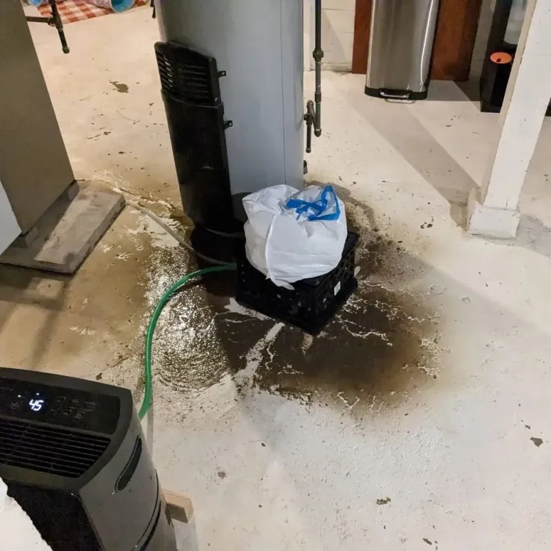 Sewage Backup Cleanup Service in Mountainhome, PA